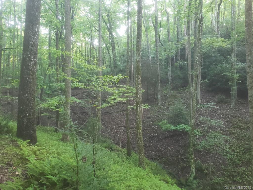 Tbd Tbd Off East Fork Road Brevard, NC 28712 - Photo 3 of 8 Gallery Image 3
