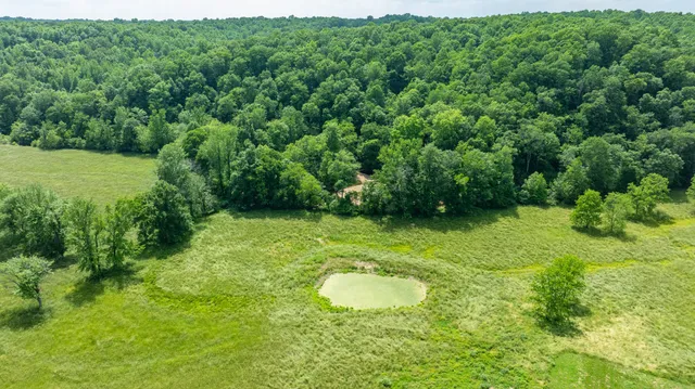 a view of a golf course with a garden