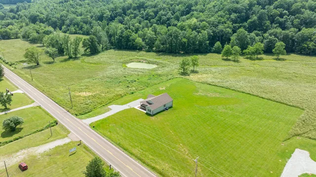 a view of a yard with plants and trees