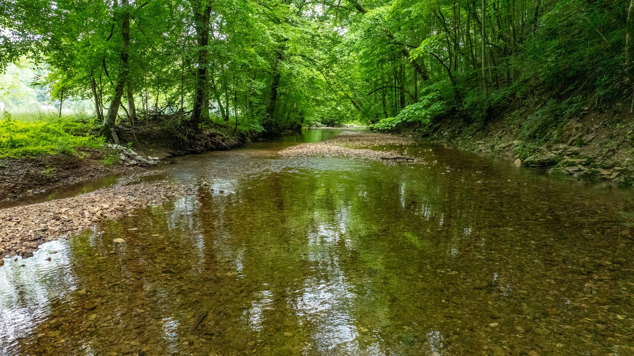 10890 Minor Hill Highway Goodspring, TN 38460 - Photo 46 of 59