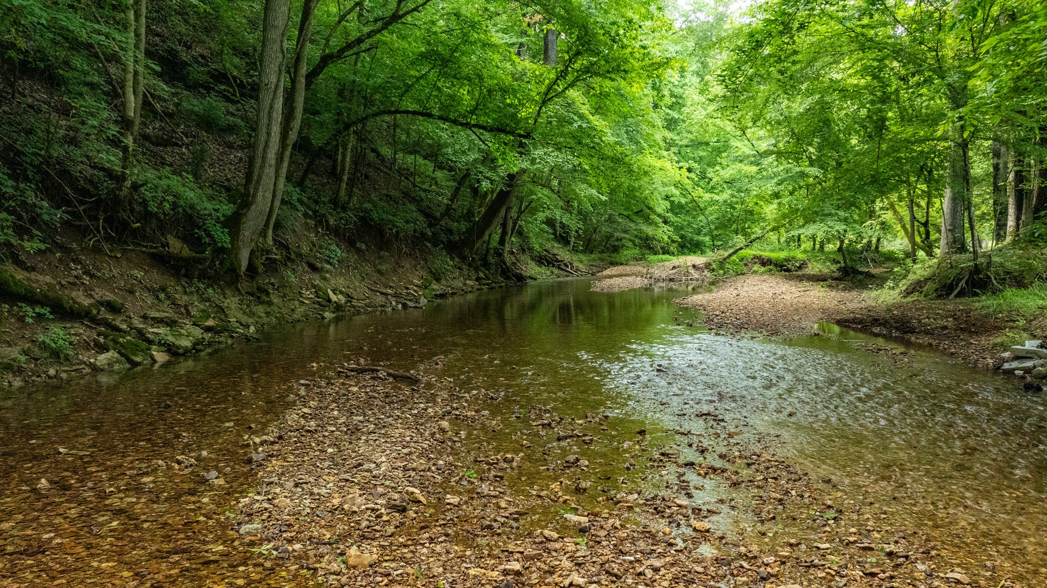 10890 Minor Hill Highway Goodspring, TN 38460 - Photo 47 of 59