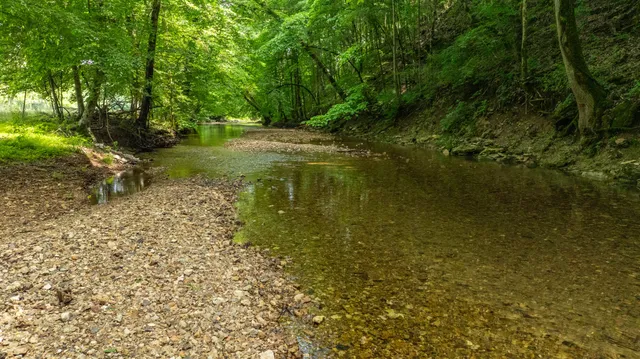 a view of outdoor space with green field and trees