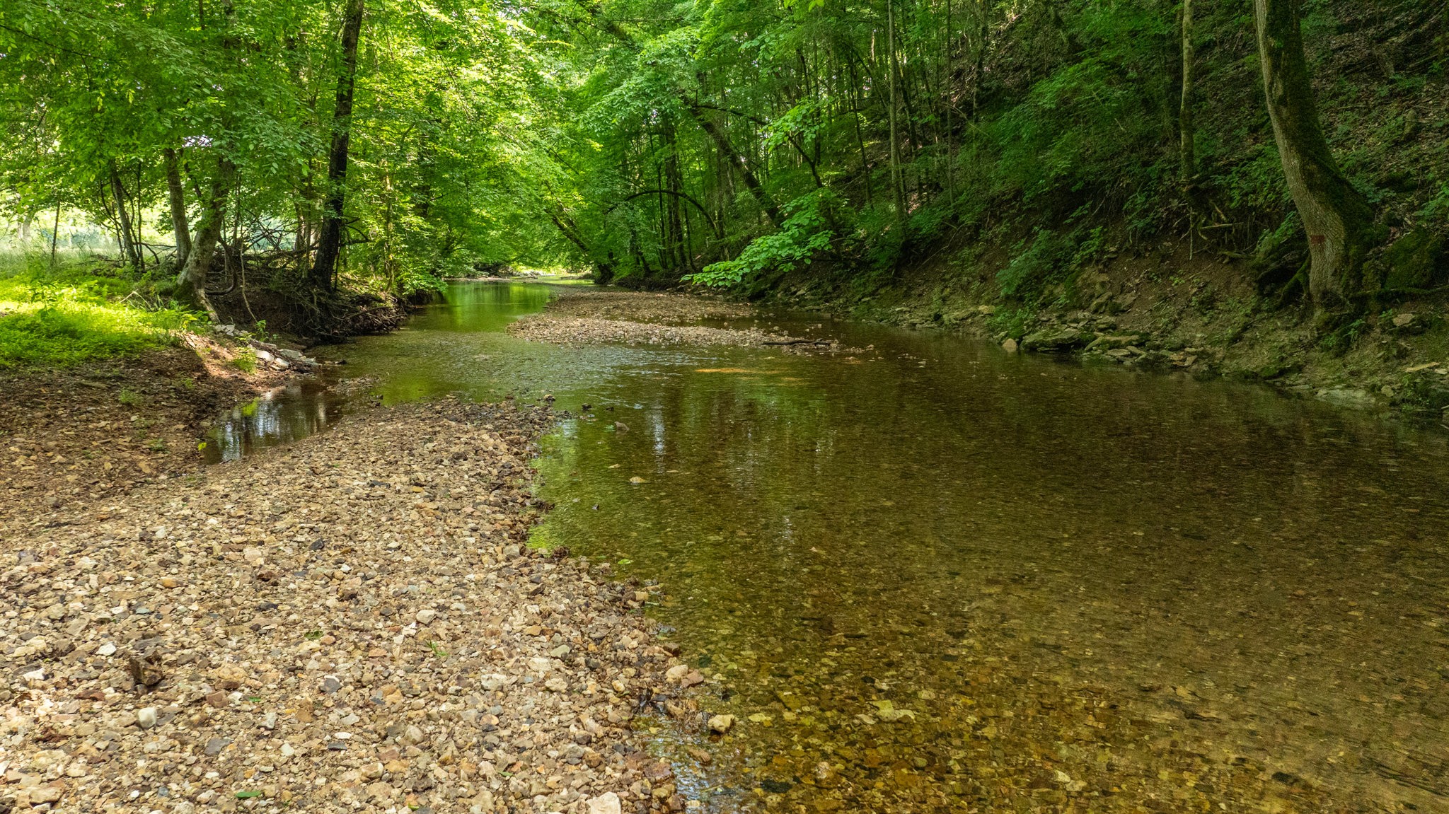 10890 Minor Hill Highway Goodspring, TN 38460 - Photo 48 of 59