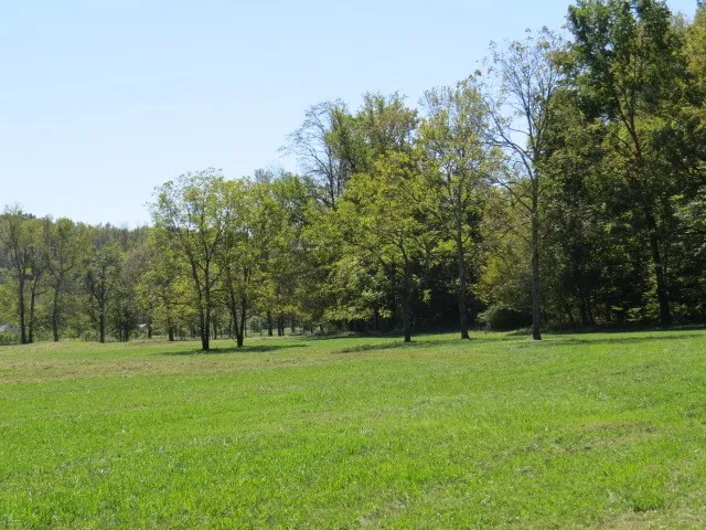 $435,000 | 10890 Minor Hill Highway, Goodspring, TN 38460