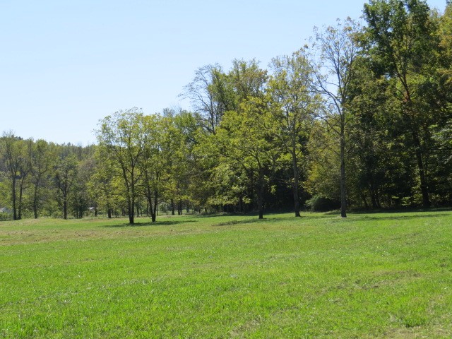 10890 Minor Hill Highway Goodspring, TN 38460 - Photo 52 of 59