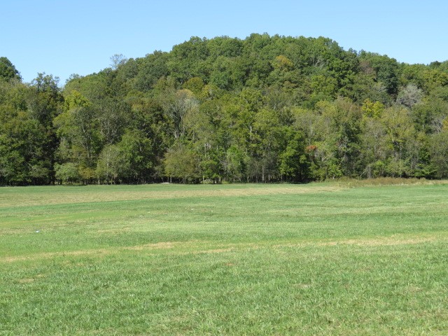 10890 Minor Hill Highway Goodspring, TN 38460 - Photo 55 of 59