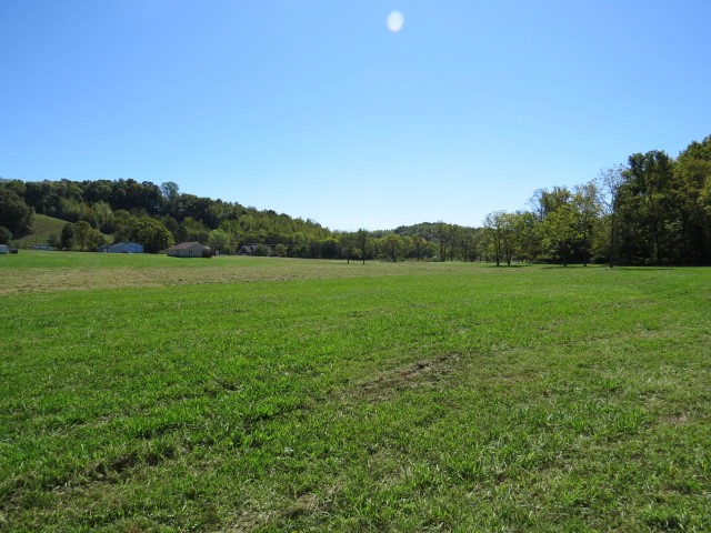 10890 Minor Hill Highway Goodspring, TN 38460 - Photo 56 of 59