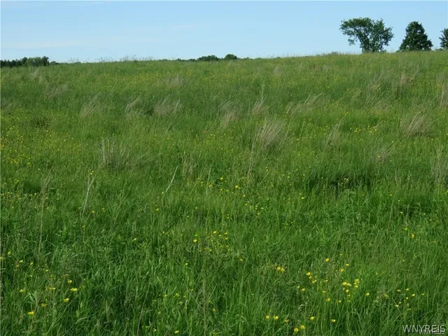 $59,900 | 543 North Street, Arcade, NY 14009