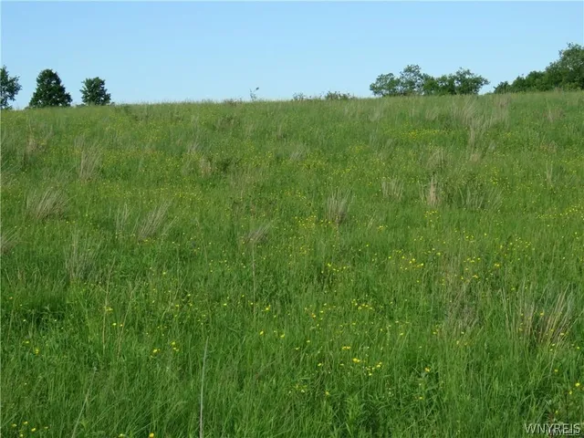 $59,900 | 543 North Street, Arcade, NY 14009