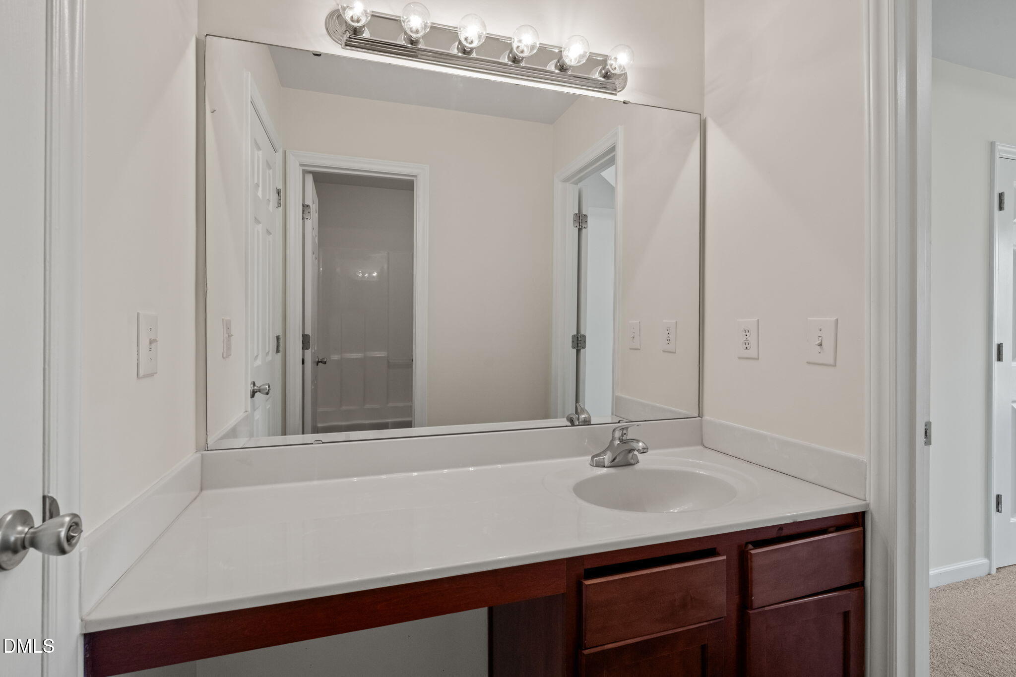 3207 Geary Trail Raleigh, NC 27610 - Photo 29 of 55 a bathroom with a sink vanity and a mirror