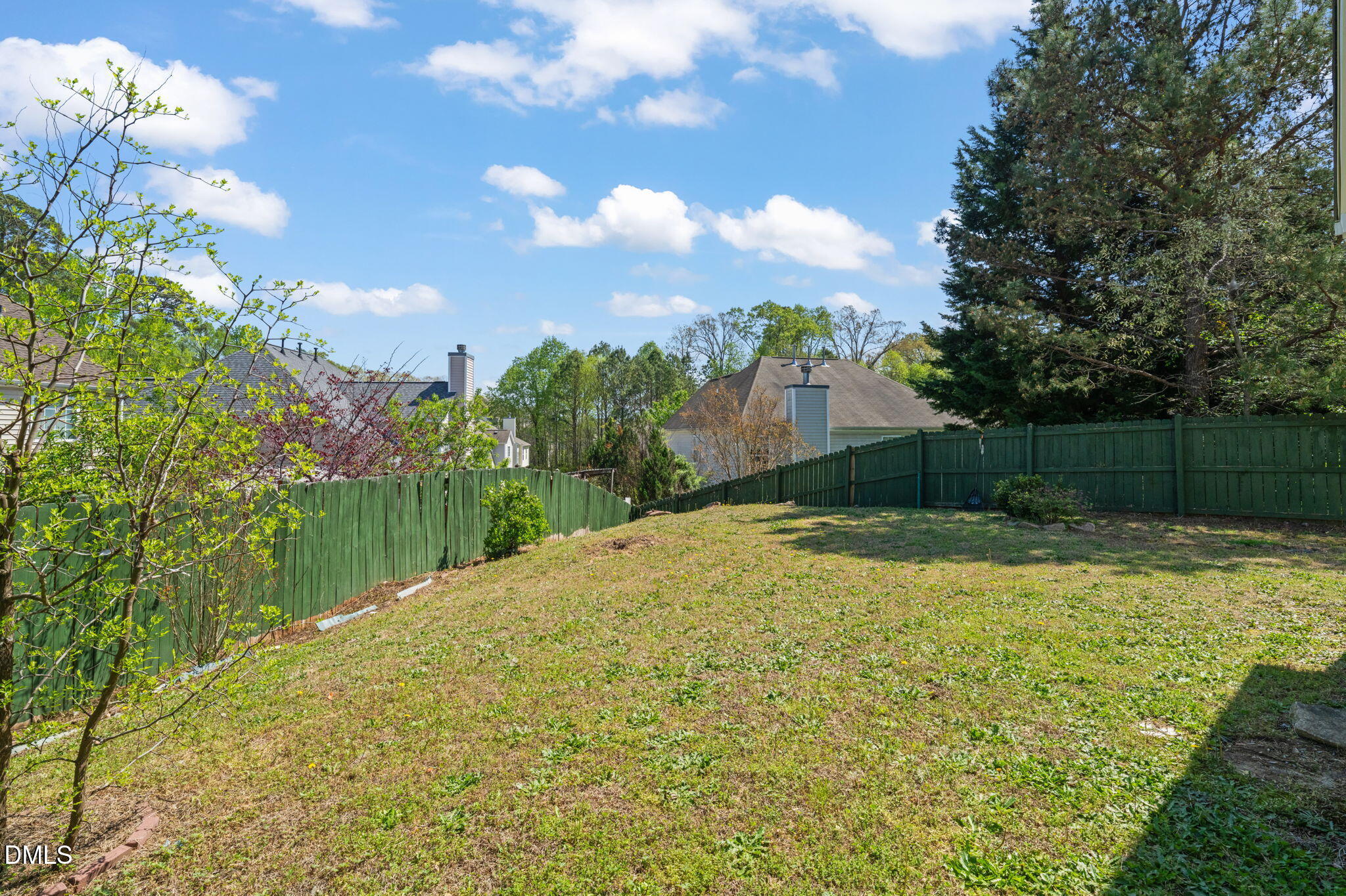 3207 Geary Trail Raleigh, NC 27610 - Photo 44 of 55 a backyard of a house with lots of green space