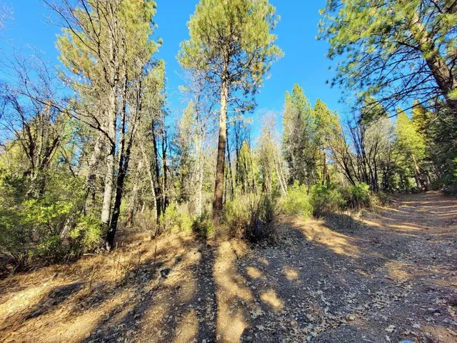 a view of backyard with green space