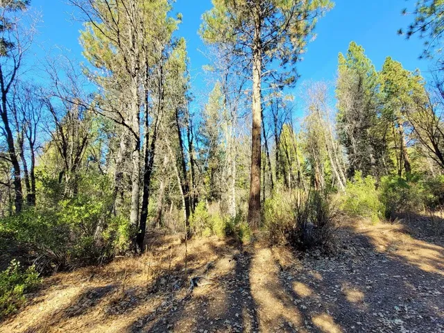 $59,900 | 59791 Highway 70, Blairsden, CA 96103