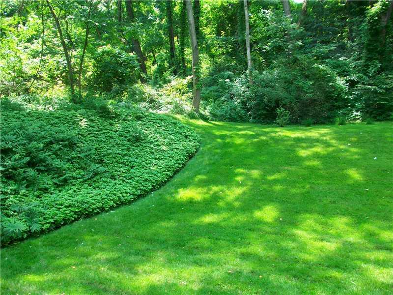 2024 Beulah Road Churchill, PA 15235 - Photo 7 of 11 Yard/Garden.