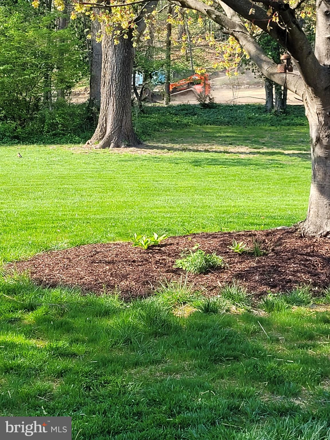2343 Hancock Drive Lancaster, PA 17601 - Photo 5 of 41 a view of a garden with a tree