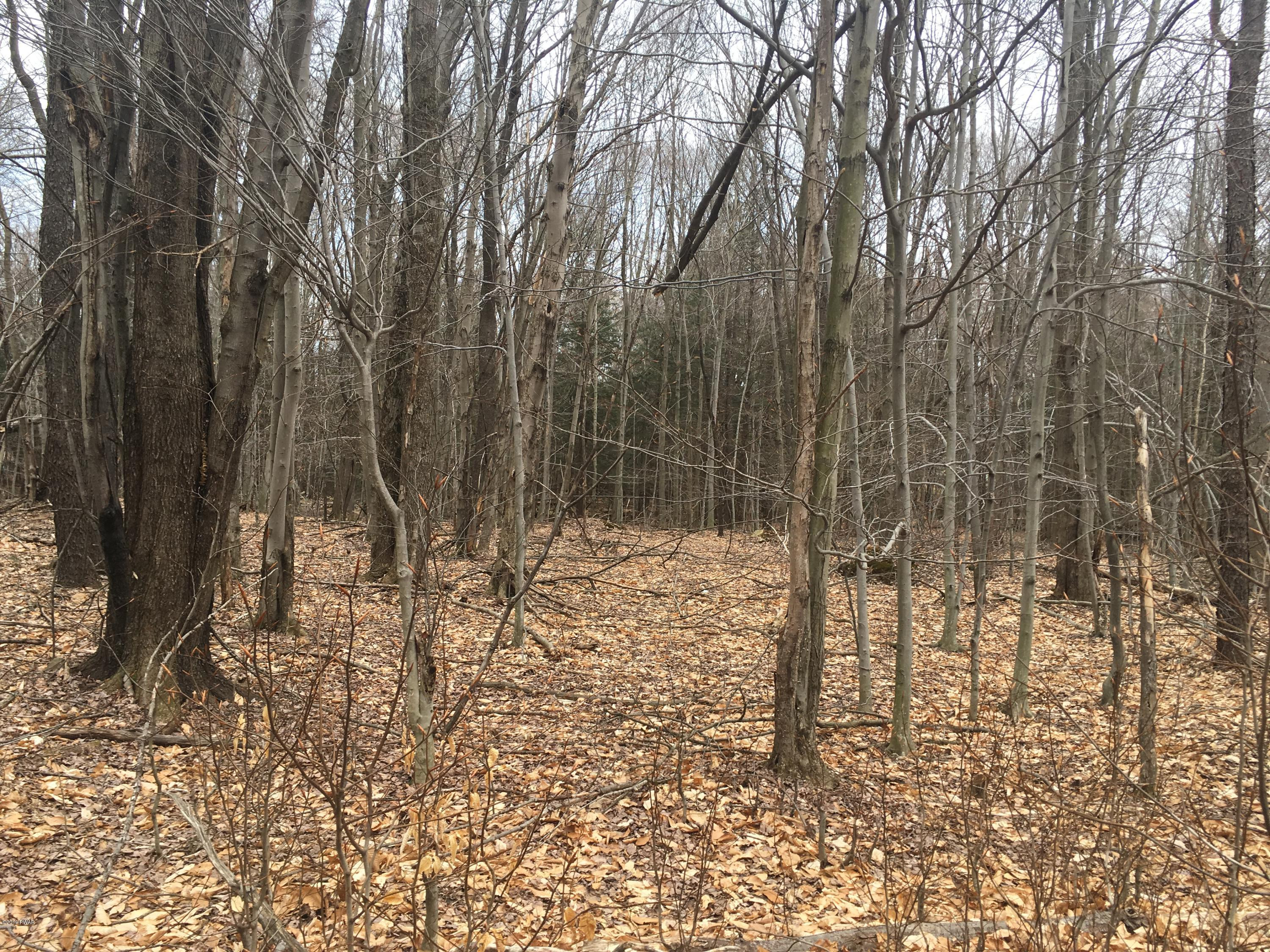 35 Timbertop Trail Newfoundland, PA 18445 - Photo 2 of 2