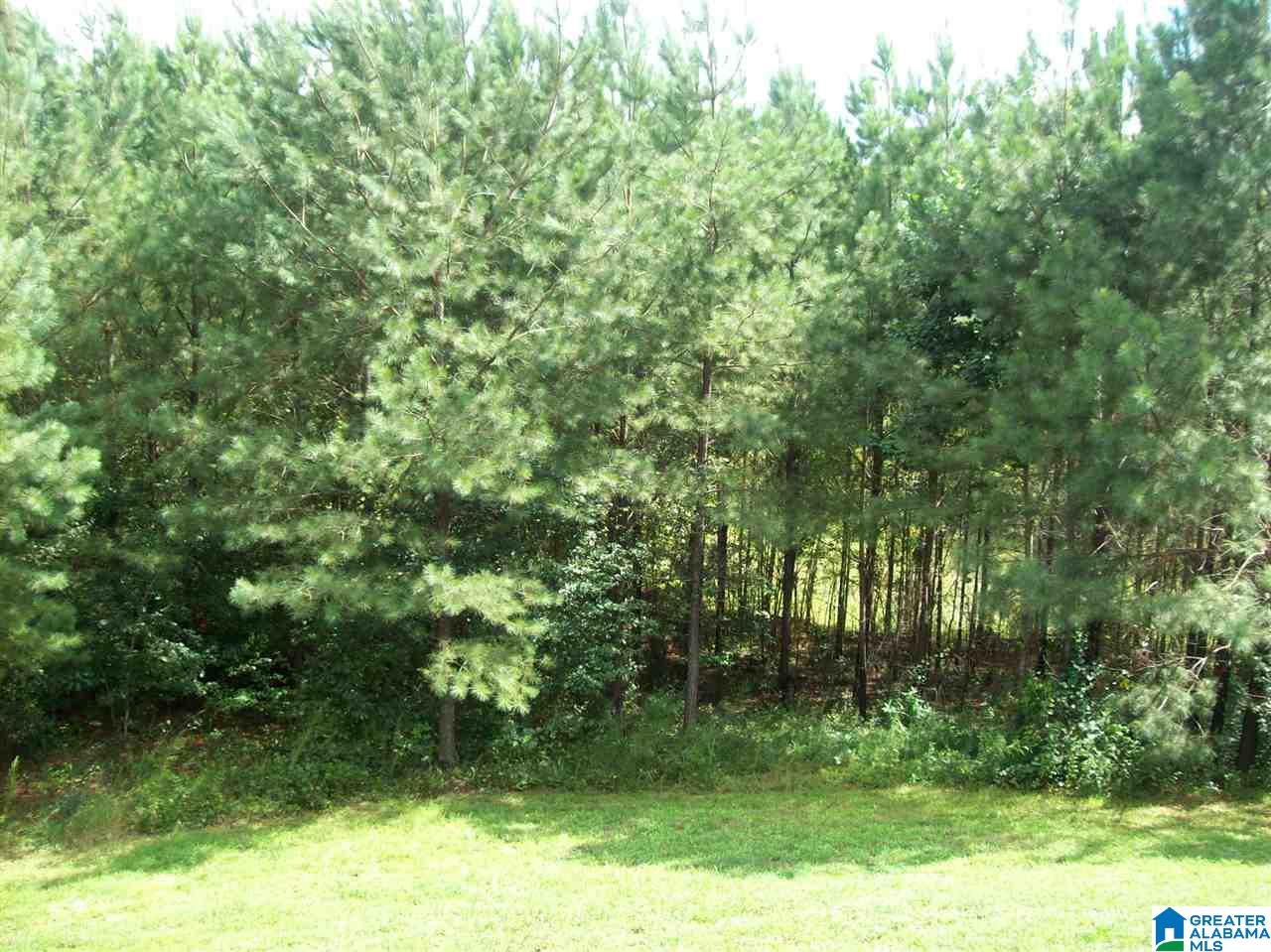 2177 County Road 61 Fruithurst, AL 36262 - Photo 6 of 33