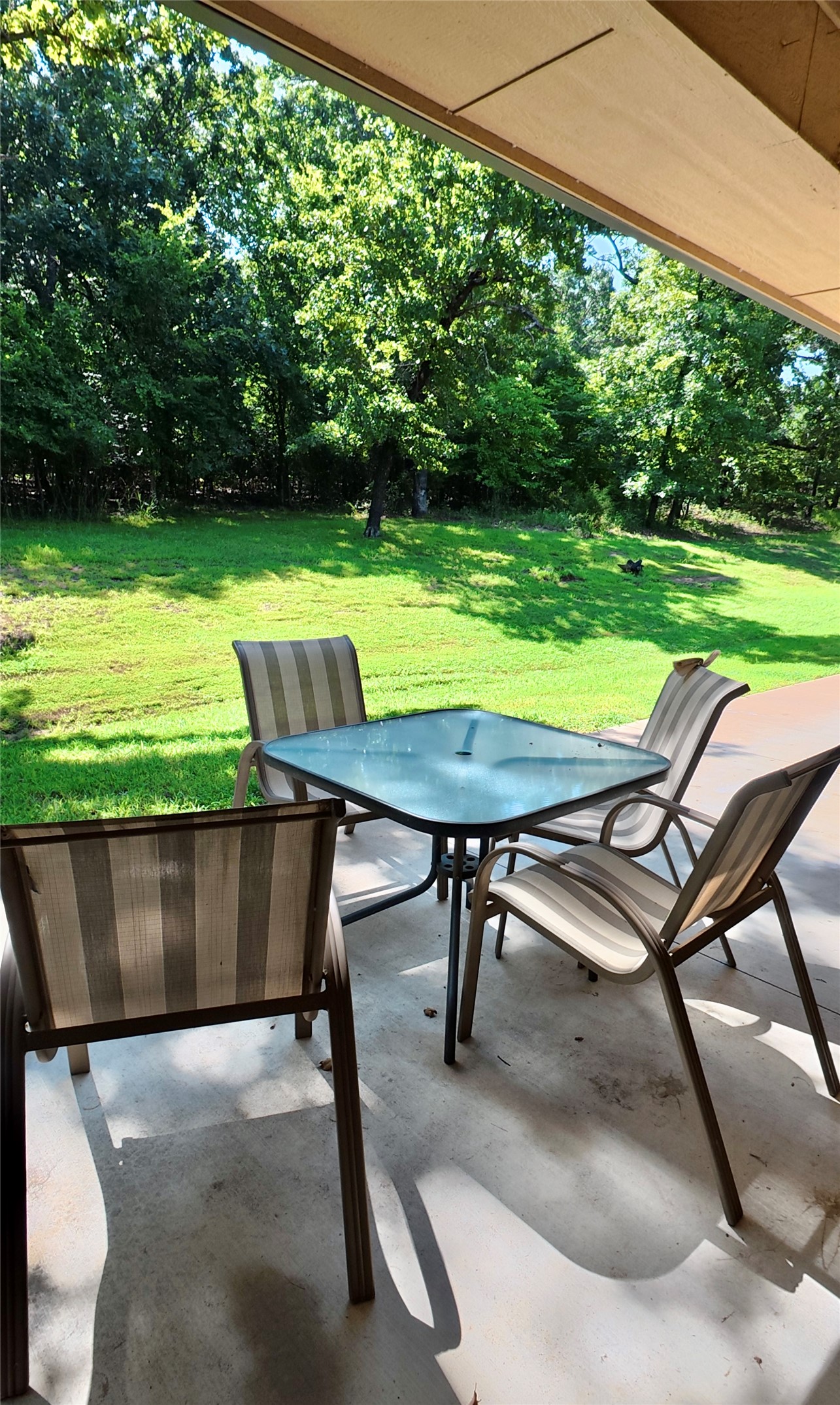 114495 South 4296th Road Porum, OK 74455 - Photo 42 of 59 Covered patio featuring concrete flooring and a large grassy yard with mature trees