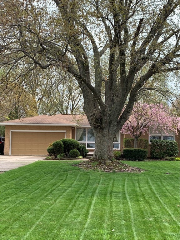 4431 Lake Shore Road Hamburg, NY 14075 - Photo 4 of 21