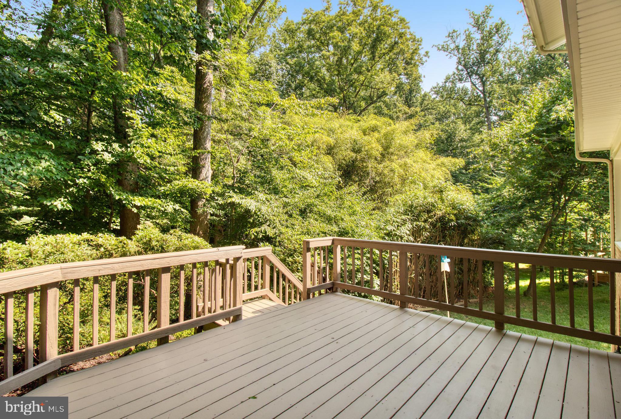 5306 Weymouth Drive Springfield, VA 22151 - Photo 56 of 70