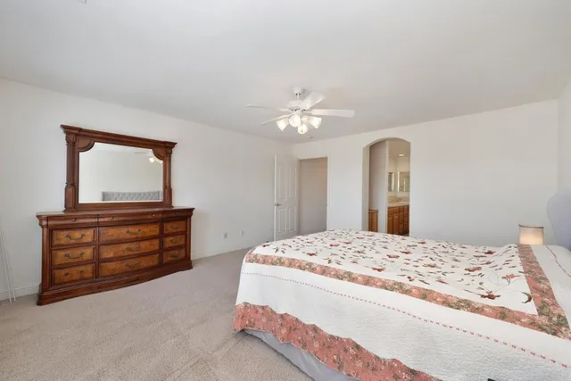 a view of a backyard with large trees and wooden fence
