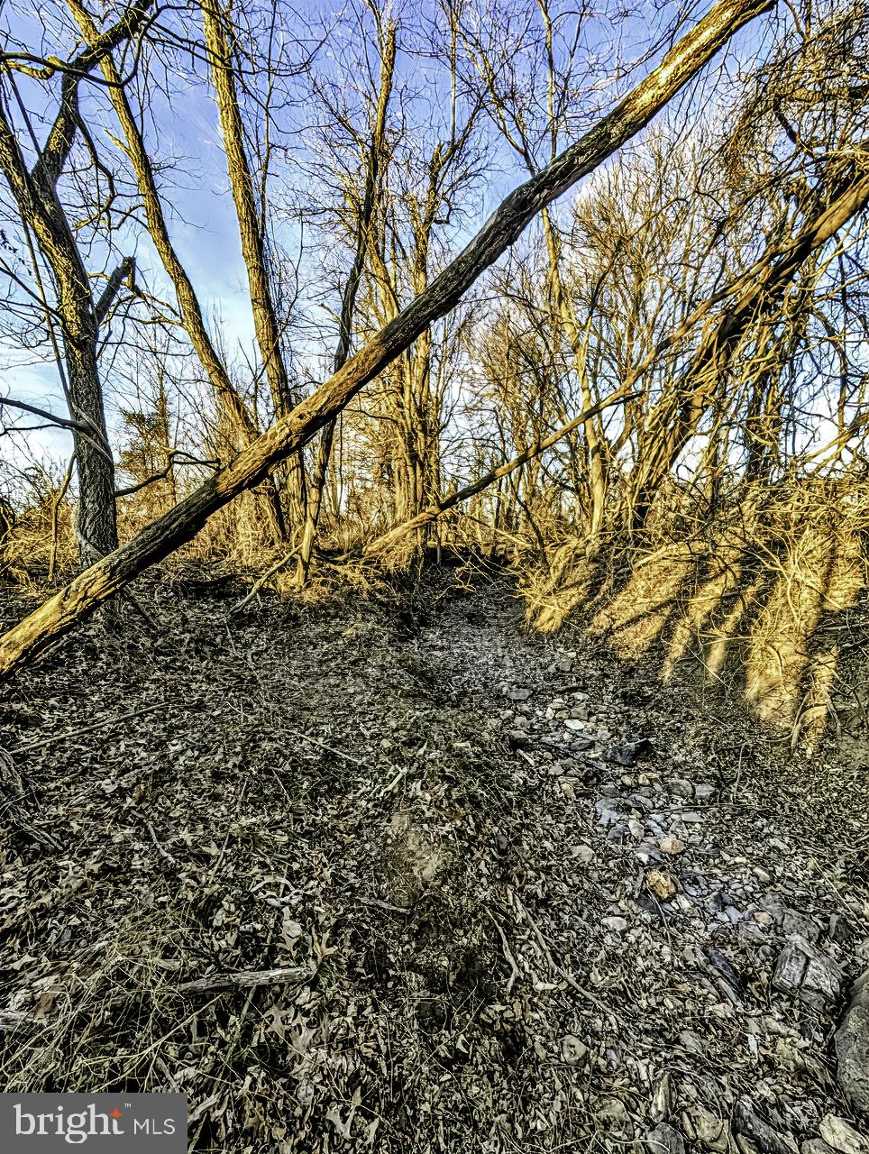 40455 Quarter Branch Road Lovettsville, VA 20180 - Photo 19 of 21