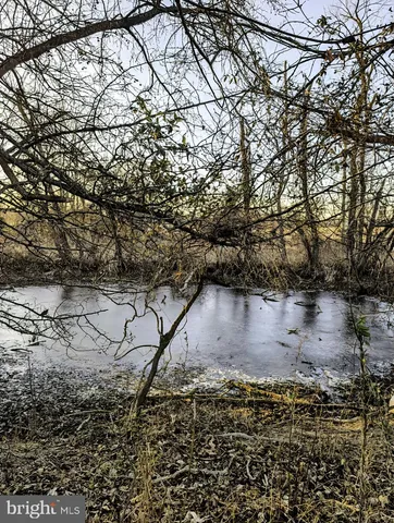 $1,250,000 | 40455 Quarter Branch Road, Lovettsville, VA 20180