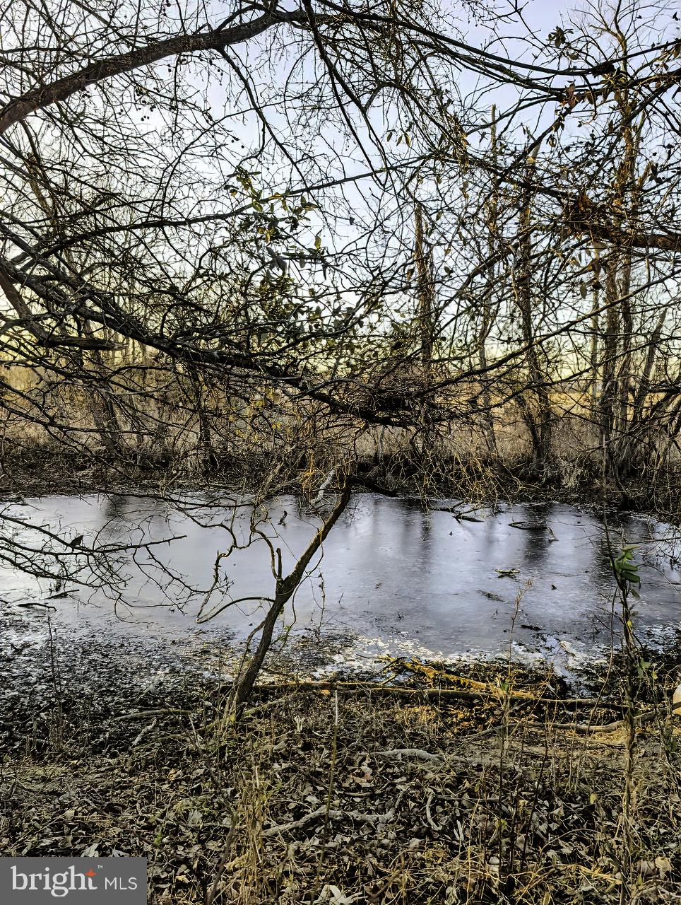 40455 Quarter Branch Road Lovettsville, VA 20180 - Photo 20 of 21 a view of a lake view