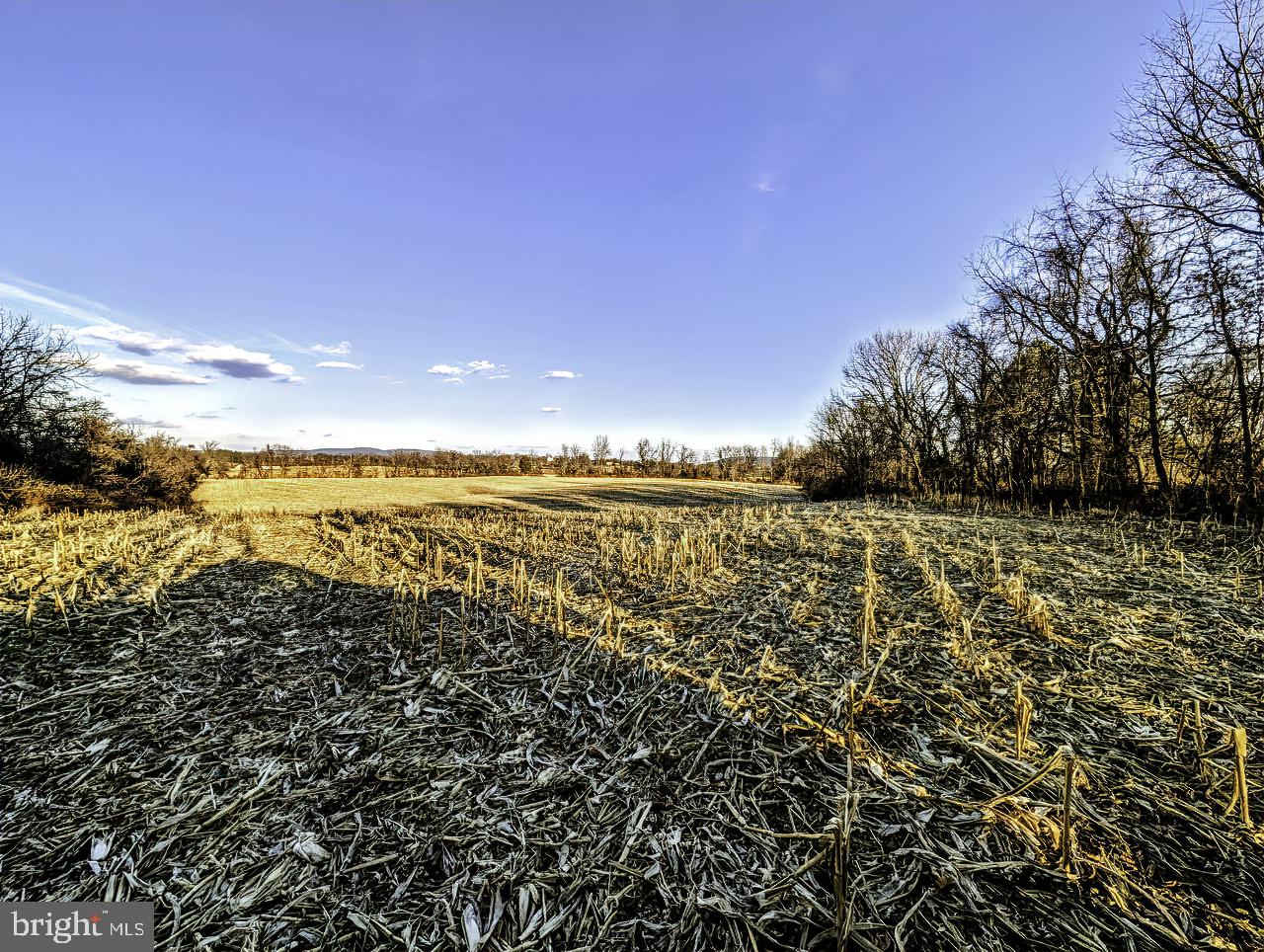 40455 Quarter Branch Road Lovettsville, VA 20180 - Photo 4 of 21 a view of an ocean
