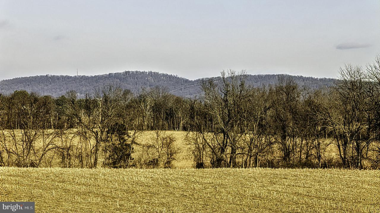 40455 Quarter Branch Road Lovettsville, VA 20180 - Photo 5 of 21 a view of mountain view with mountain
