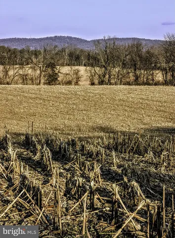 $1,250,000 | 40455 Quarter Branch Road, Lovettsville, VA 20180