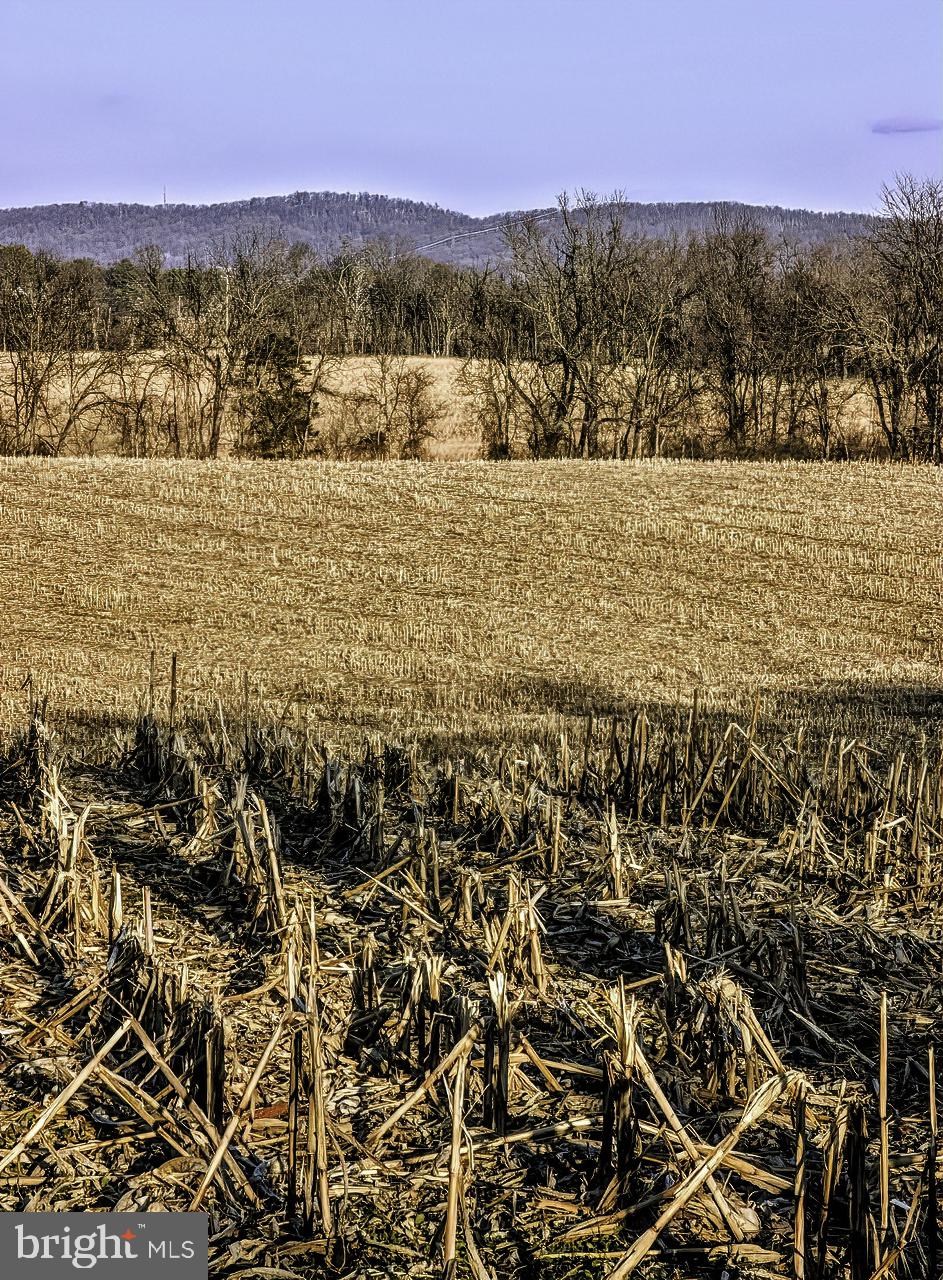 40455 Quarter Branch Road Lovettsville, VA 20180 - Photo 6 of 21 a view of an ocean and a mountain