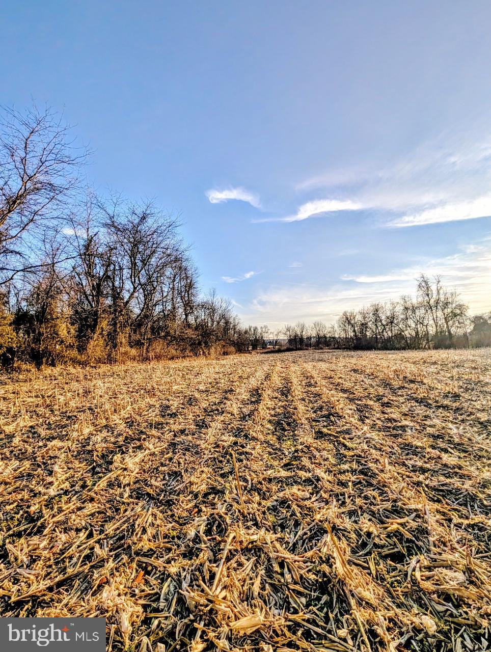 40455 Quarter Branch Road Lovettsville, VA 20180 - Photo 8 of 21 a view of lake view and mountain