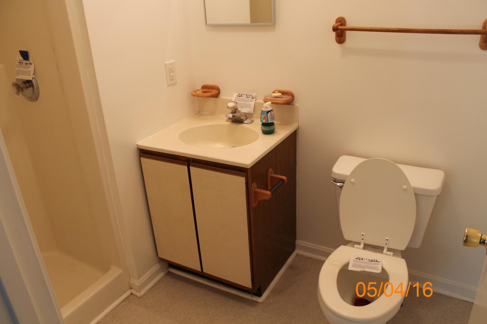 635 Briar Ridge Road Henry, VA 24102 - Photo 6 of 25 a bathroom with a sink and a toilet