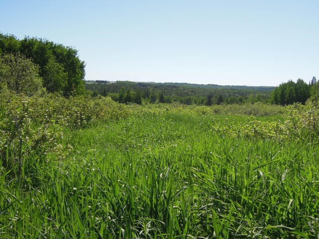 Lot 34 Thibodeau Road Woodland, ME 04736 - Photo 11 of 18 Photo