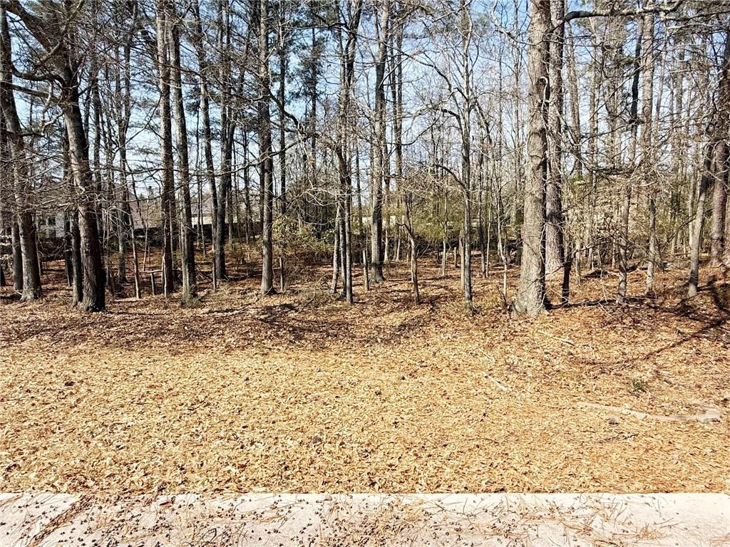 69 Morning Top Court Suwanee, GA 30024 - Photo 32 of 34 a view of sink and trees