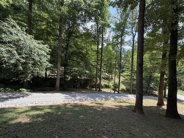 238 Trails End Road Blue Ridge, GA 30513 - Photo 29 of 32 a view of outdoor space with trees