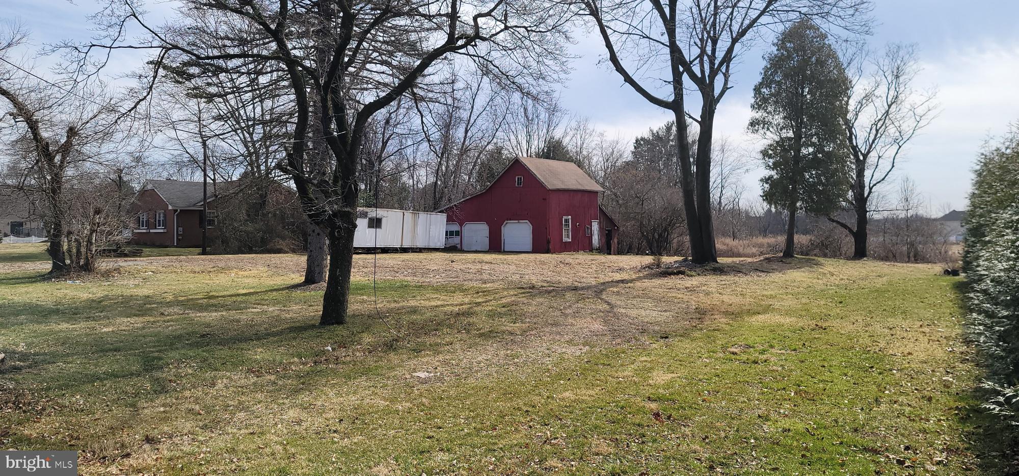 level lot with trees