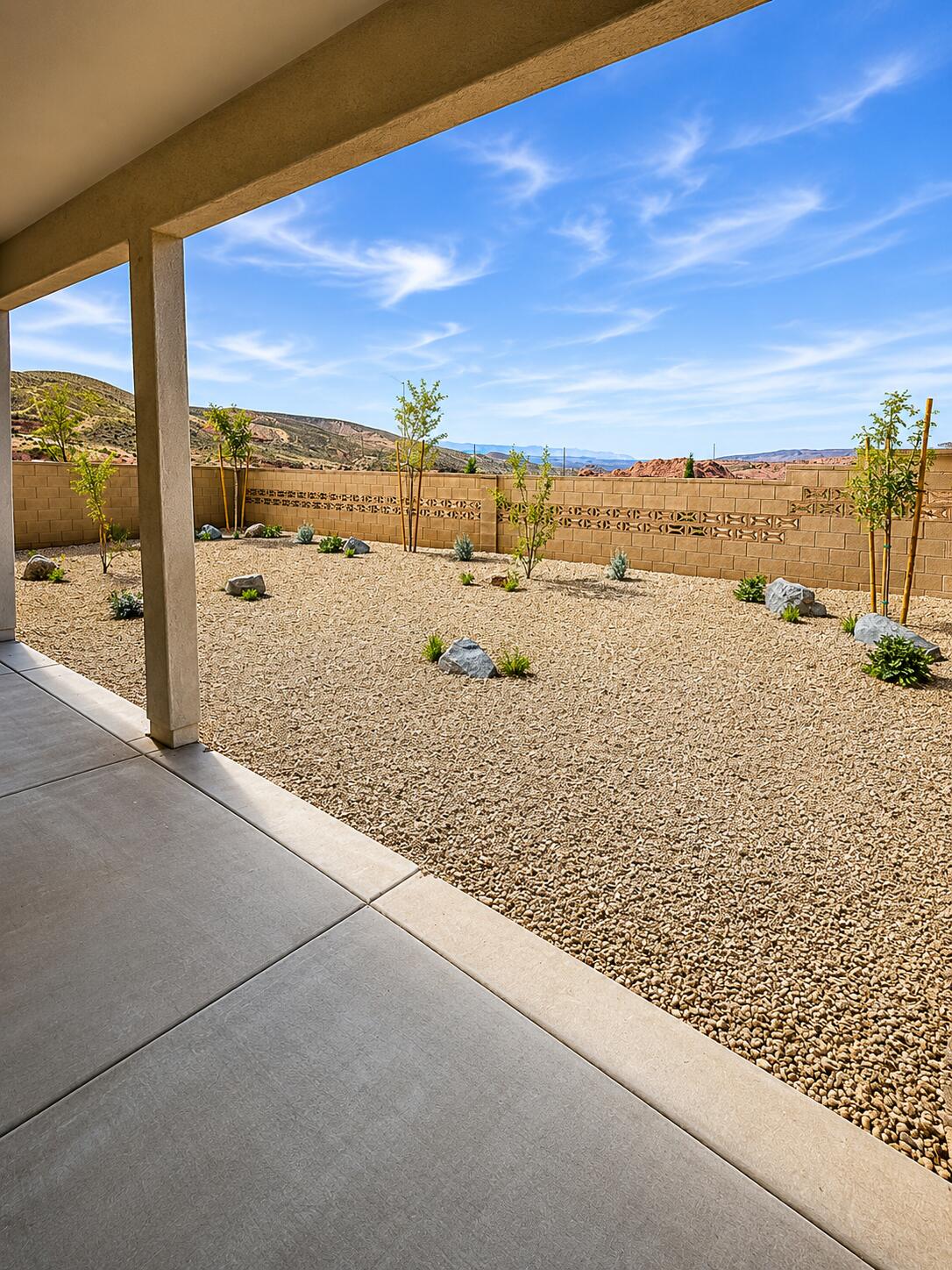 back yard1