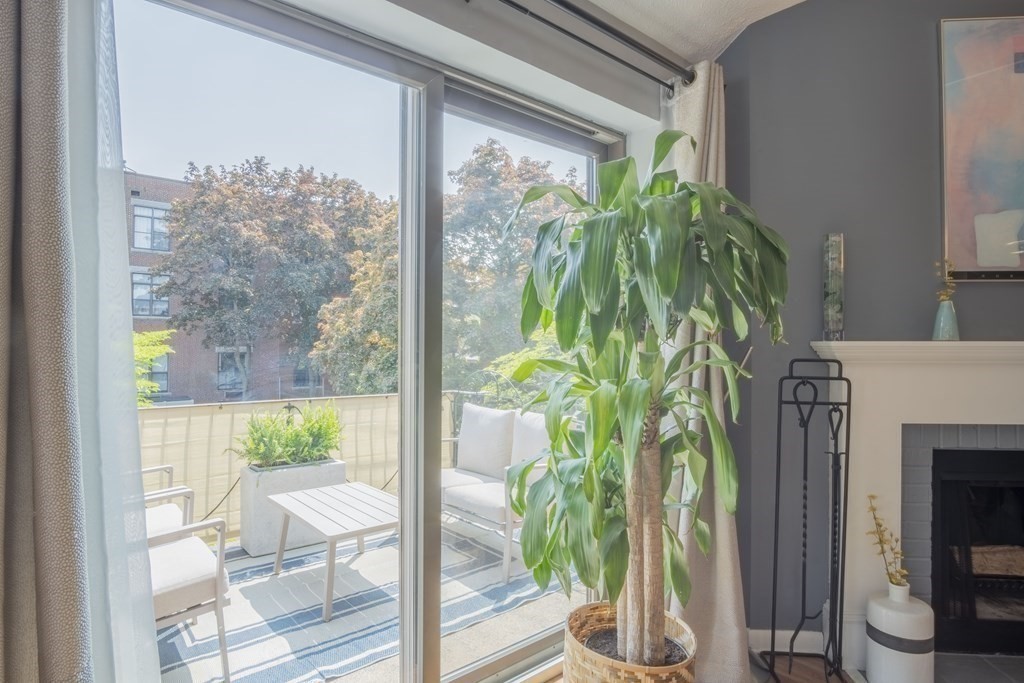 9 Barton Square, Unit 201 Salem, MA 01970 - Photo 34 of 42 a view of a potted plants with sky view