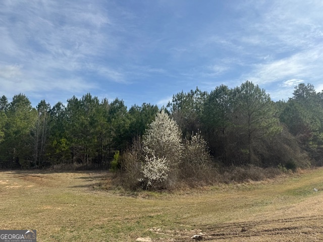 39 Brush Creek Park Road Franklin, GA 30217 - Photo 3 of 4 a view of a yard with an trees