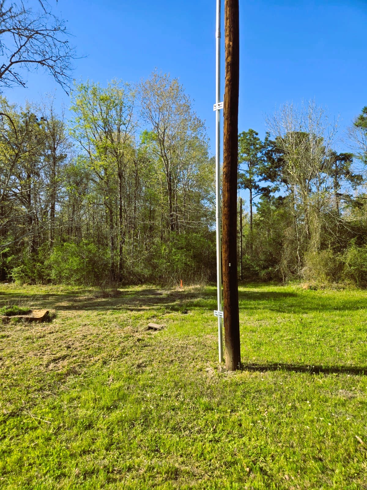 278 Reggie Lane Trinity, TX 75862 - Photo 15 of 16