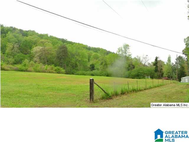 71 Price Lane Oneonta, AL 35121 - Photo 21 of 32