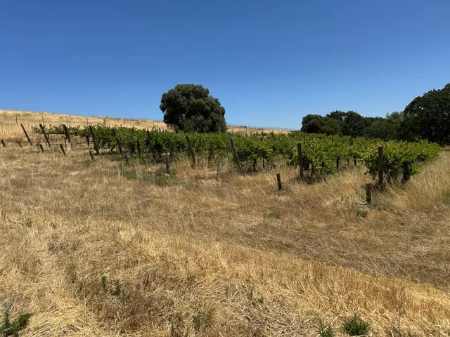 $2,500,000 | 342 Kalthoff Common, Livermore, CA 94550