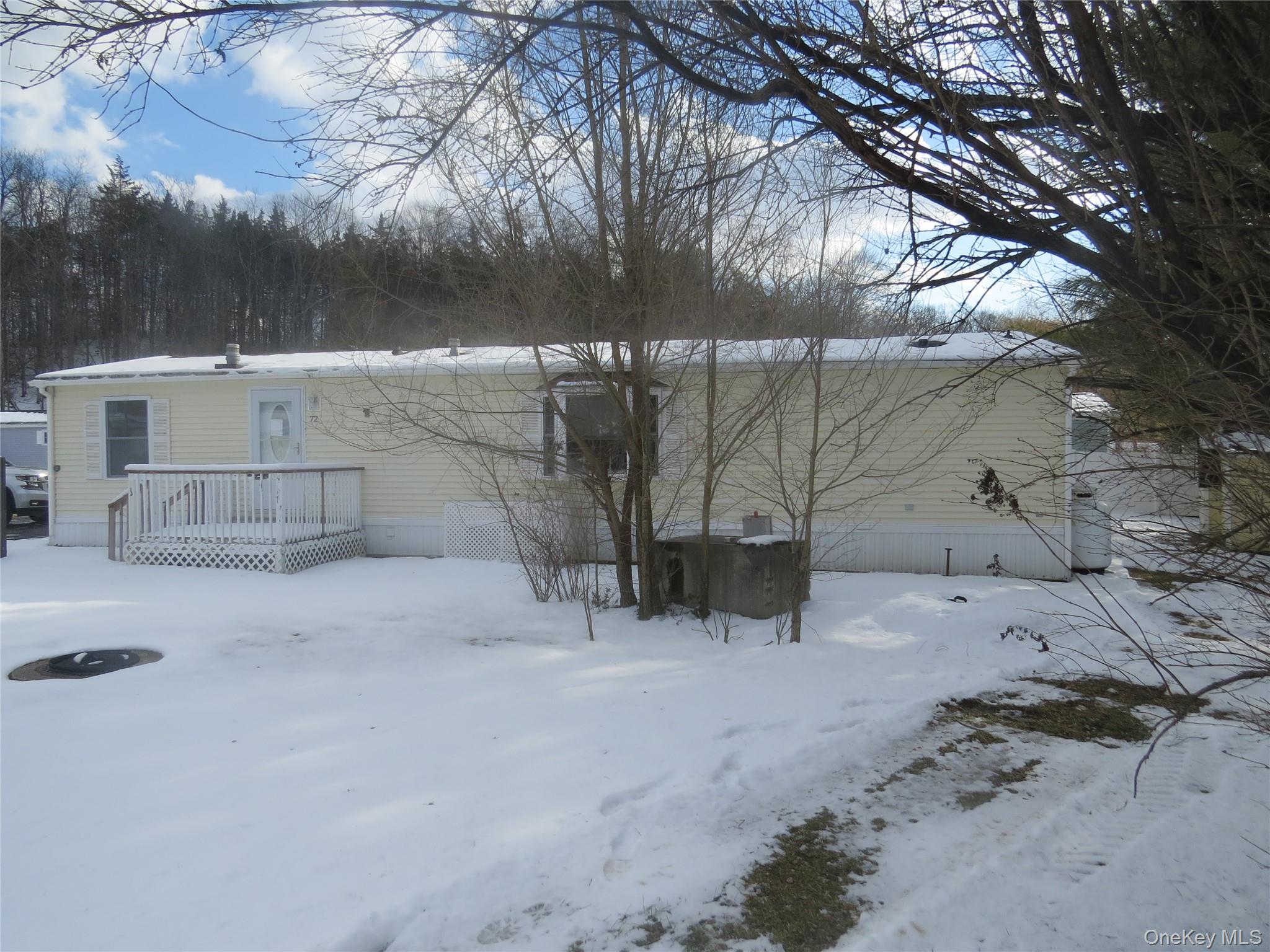 723 Beekman Road, Unit 72 Hopewell Junction, NY 12533 - Photo 3 of 23