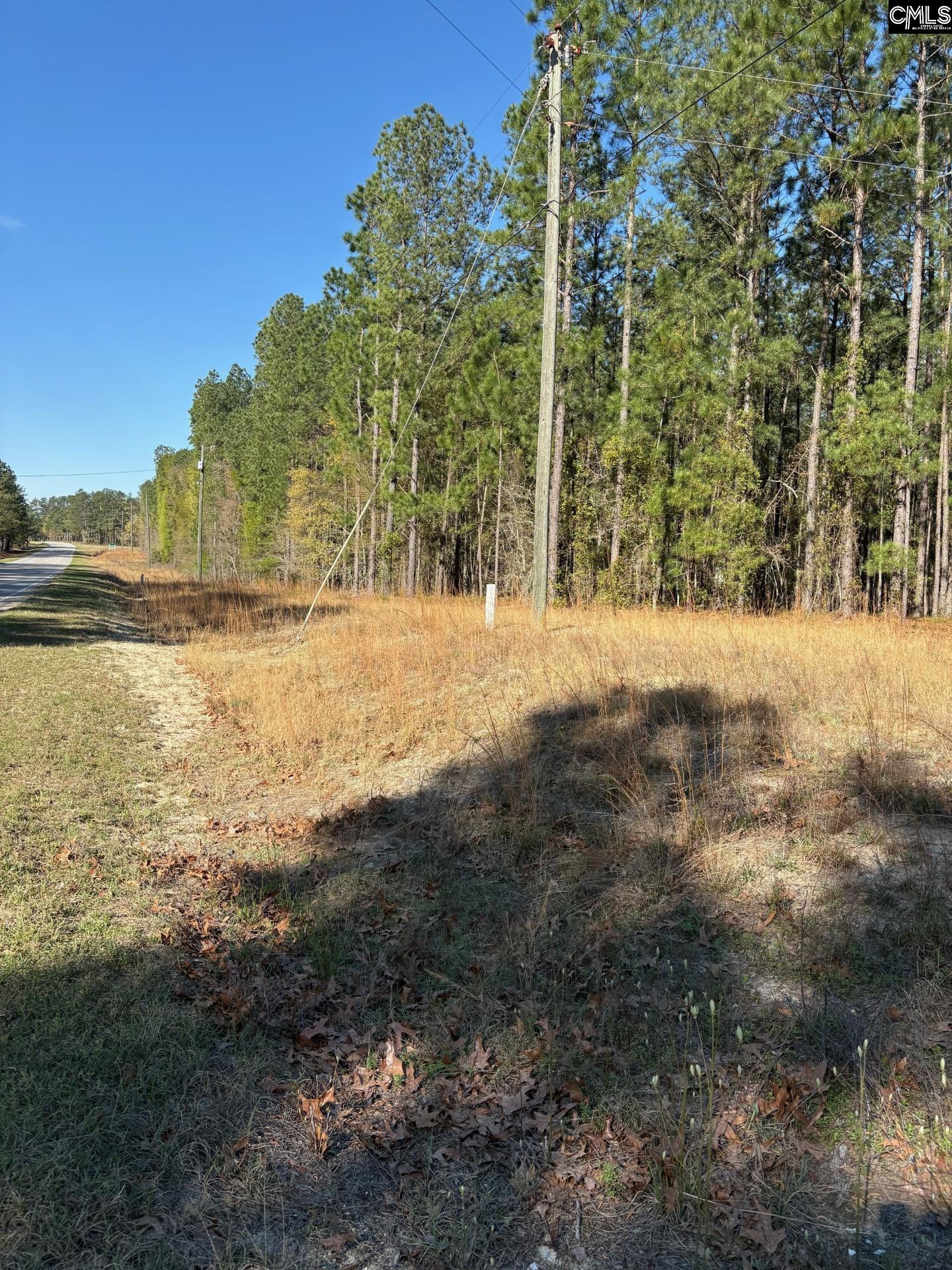 0 East Old Camden Road Hartsville, SC 29550 - Photo 1 of 10