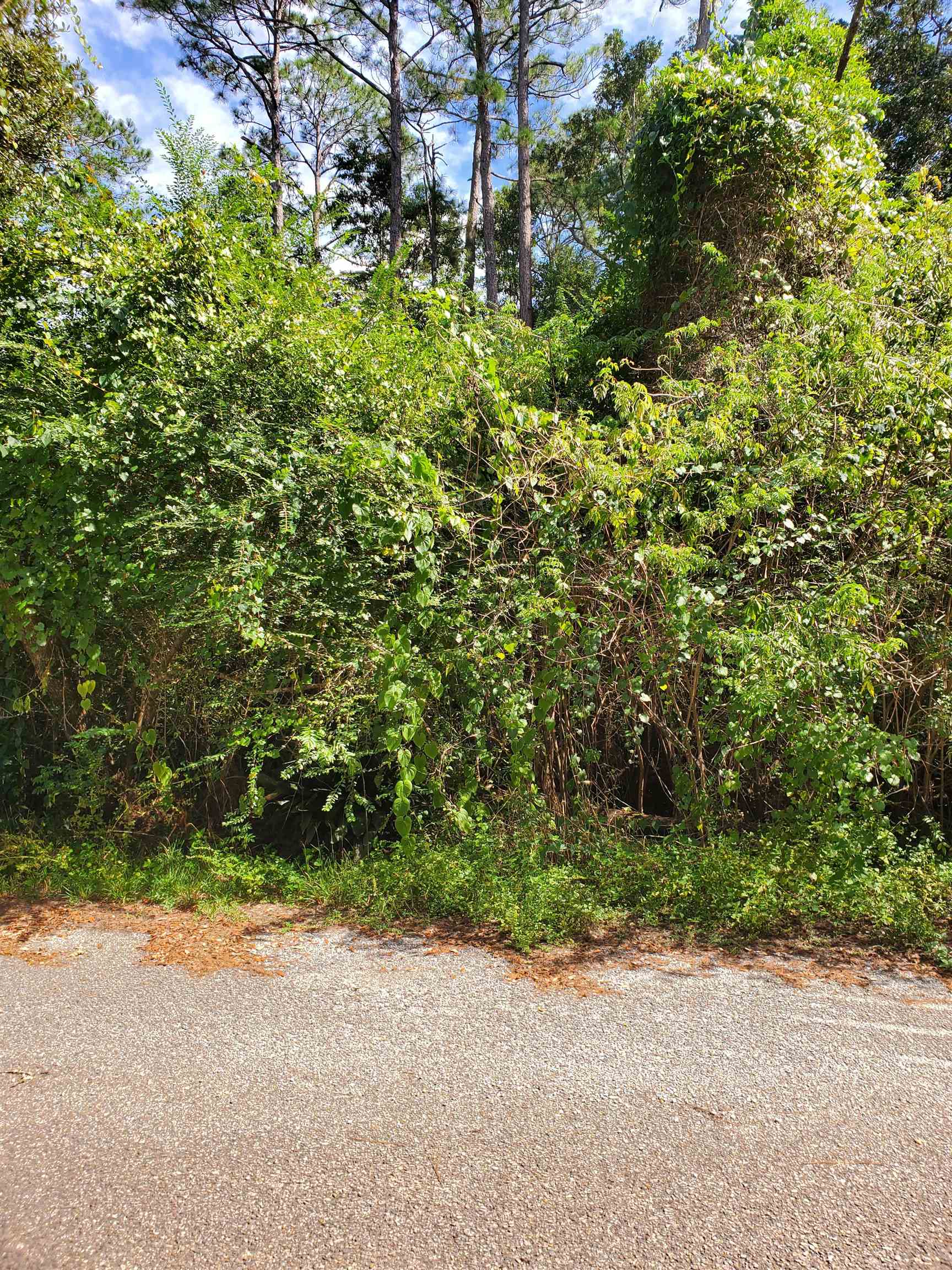 17353 River Road South Summerdale, AL 36580 - Photo 3 of 7