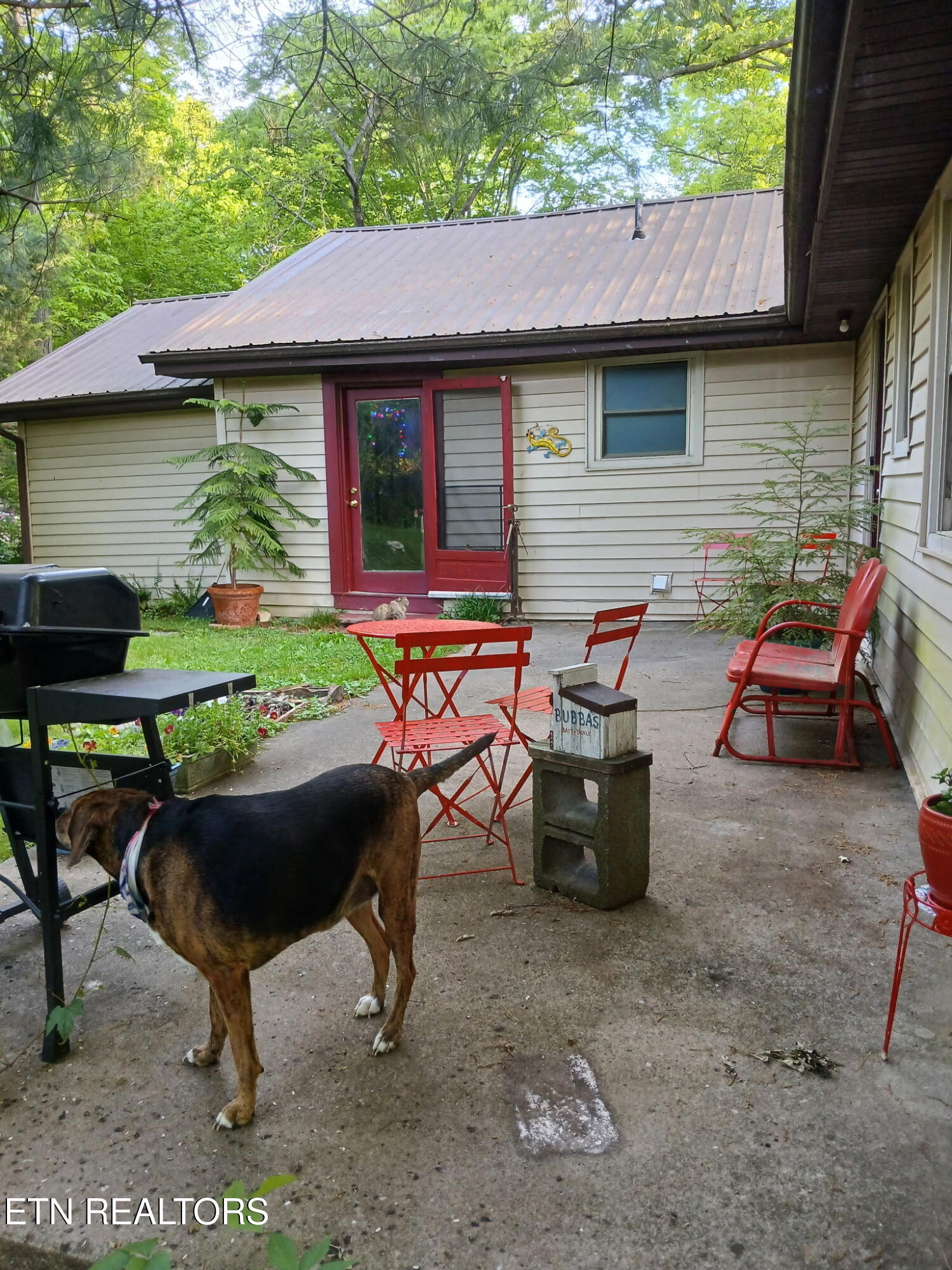 7709 Neubert Springs Road Knoxville, TN 37920 - Photo 3 of 23 1000008284