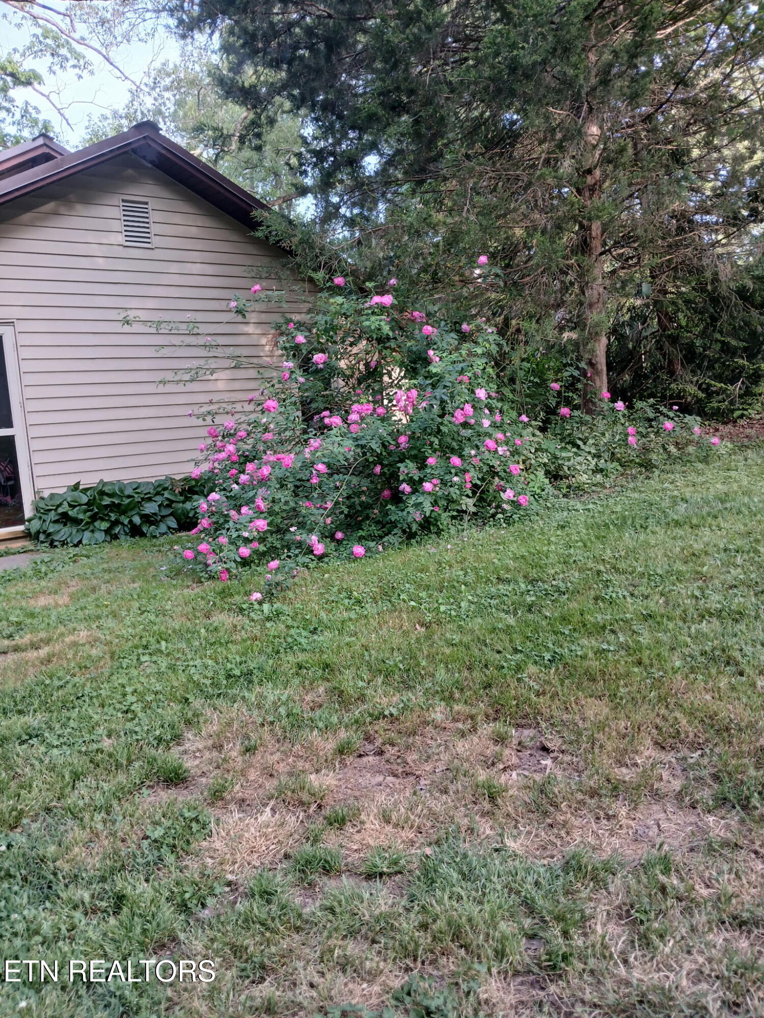 7709 Neubert Springs Road Knoxville, TN 37920 - Photo 5 of 23 1000008280