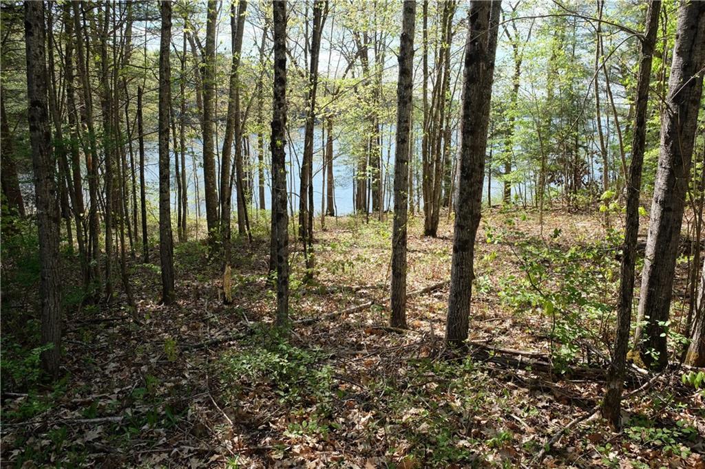420 Youngs Corner Road Auburn, ME 04210 - Photo 3 of 7 Part go the lot has young trees....